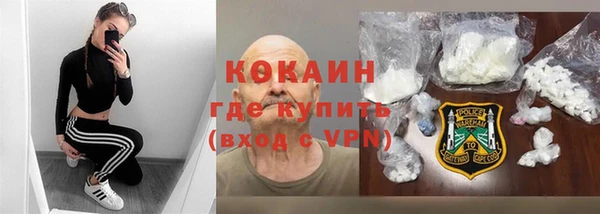 ПСИЛОЦИБИНОВЫЕ ГРИБЫ Арсеньев