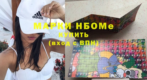 ПСИЛОЦИБИНОВЫЕ ГРИБЫ Арсеньев