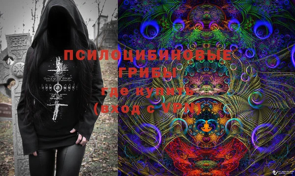 соль ск Аркадак