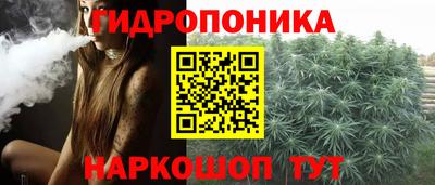 крисы Балахна