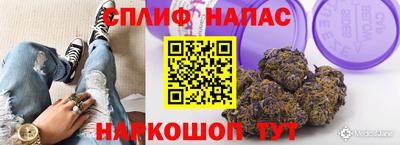 крисы Балахна