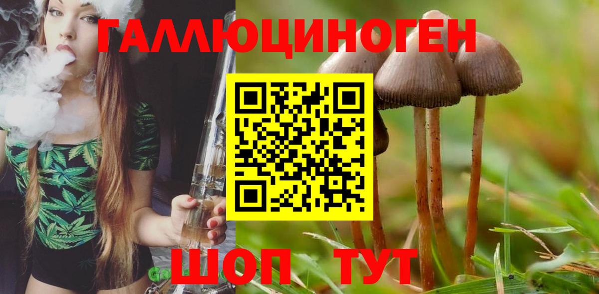 Асбест  Галлюциногенные грибы прущие грибы  Вход с VPN  Псилоцибиновые грибы Magic Shrooms 